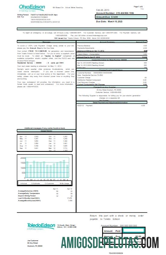 Em branco modelo Word e PDF para conta de serviços públicos EUA OHIO EDISON